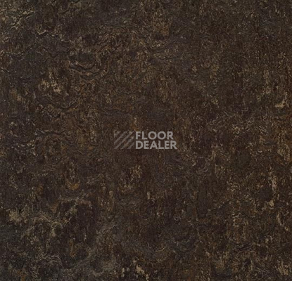 Линолеум Forbo Marmoleum Marbled Real 3236 Dark Bistre фото 1 | FLOORDEALER